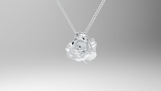 Penjoll Rosa Oberta i Cadena