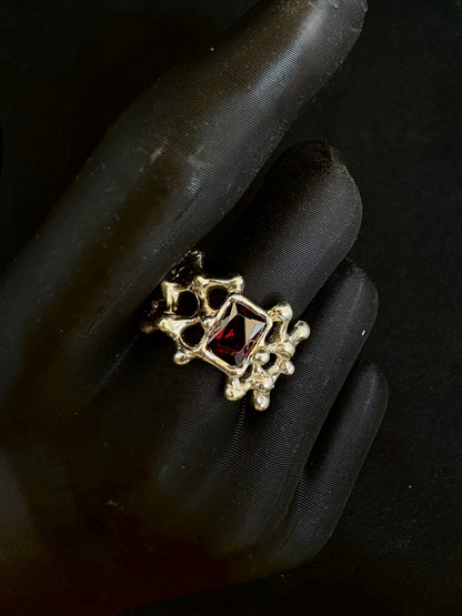 Anillo Xarxa Rubi v3