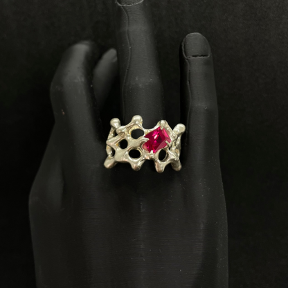 Anillo Xarxa Rubi v1