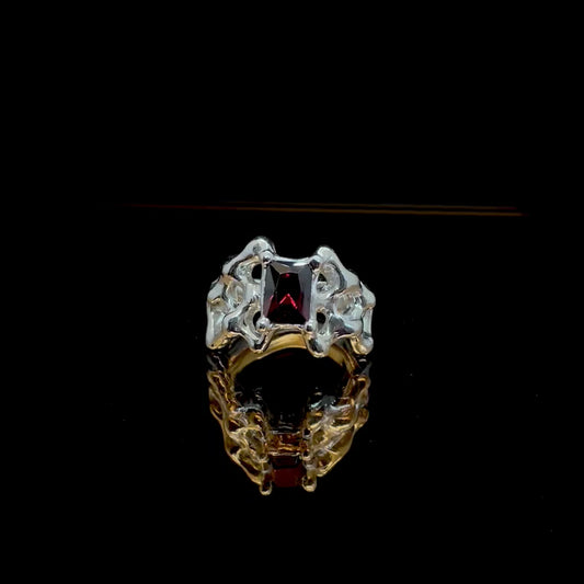 Anillo Nix