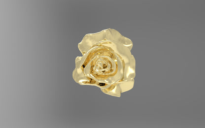 Pin Rosa Oberta