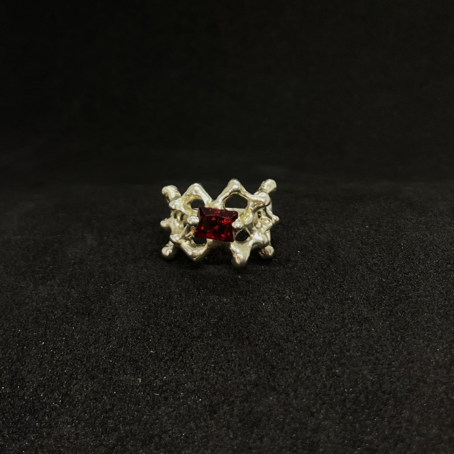 Anillo Xarxa Rubi v2